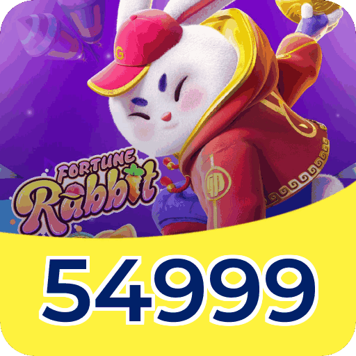 Termos e condições